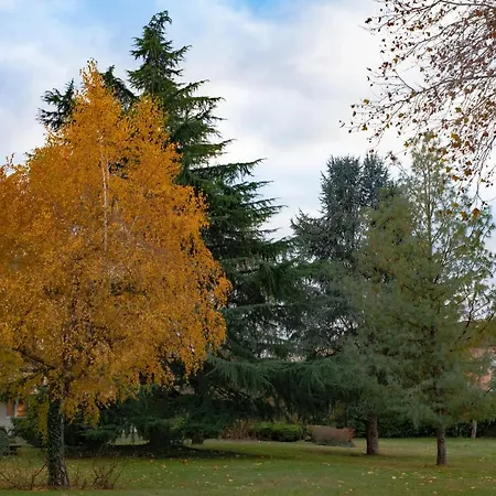 Lejlighed Le Petit Panam - Prive De 45 M2 - 2 A 4 Personnes - Parking Prive Metz